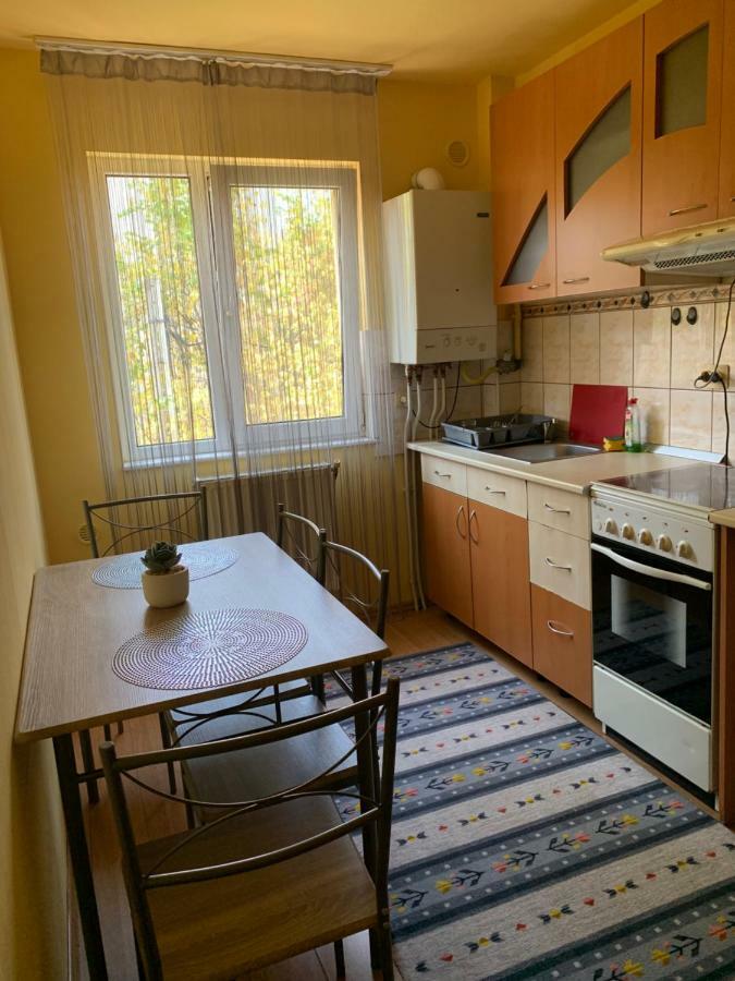 Exclusive Hortensiei Baia Mare Exterior photo