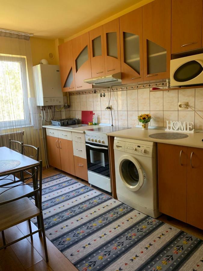 Exclusive Hortensiei Baia Mare Exterior photo