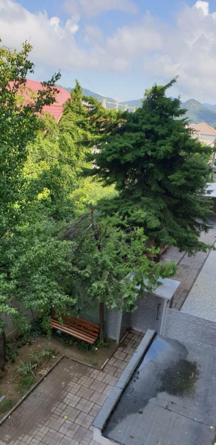 Exclusive Hortensiei Baia Mare Exterior photo